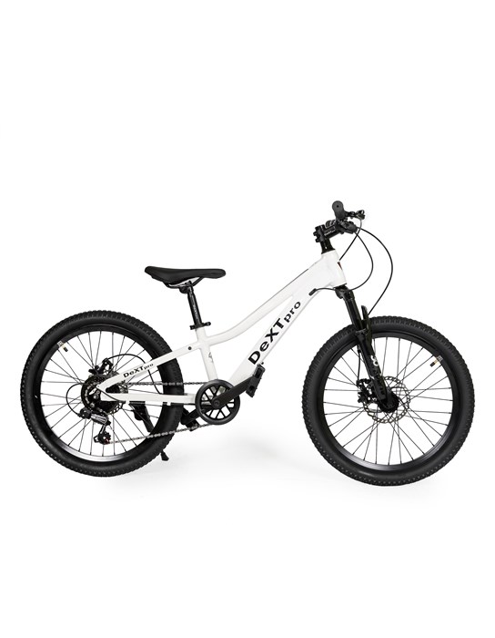 DEXTpro 272 R22 cdMSUGYdjIKyA1YGh2oEd3 - фото 3528