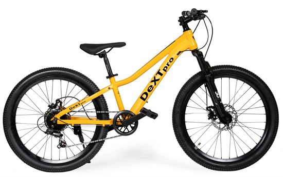 DEXTpro 272 R24 AMox7eP0hC1EShdohje0L0 - фото 3800