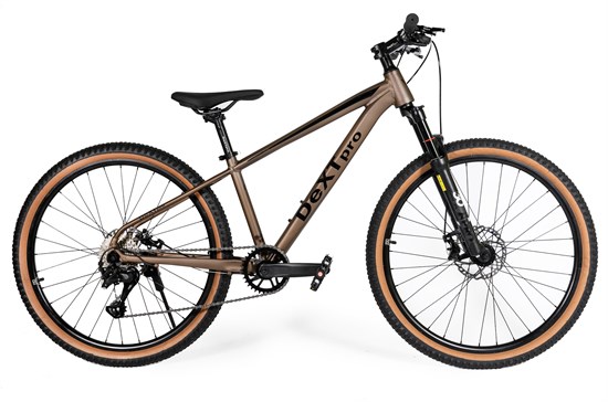 DEXTpro 004 R26 cQm0oelfhpTKQXlMUNB7k1 - фото 3880