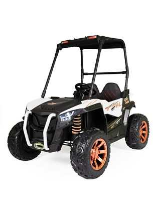 809 (БАГГИ С КРЫШЕЙ) IeRdtP5KjobwJjWtWS2P00